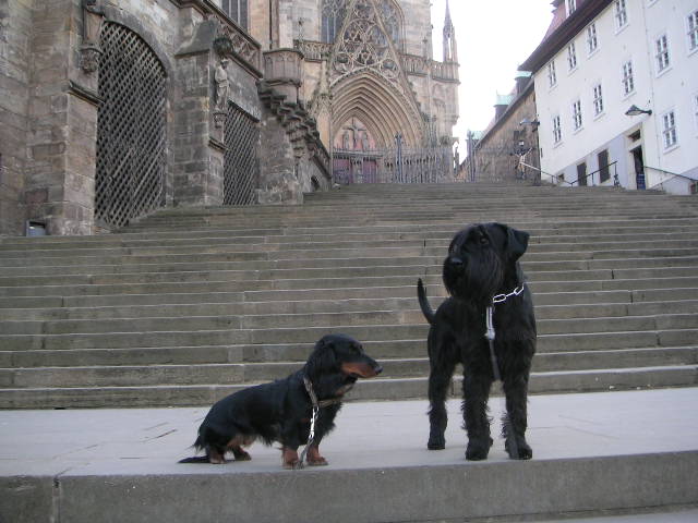 Bild 220.jpg